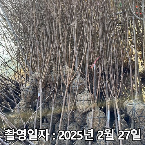 추가이미지
