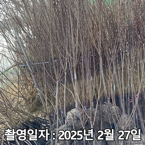 추가이미지