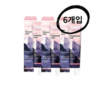  2080 퓨어 마운틴 솔트 치약 핑크민트향 120g x 6개