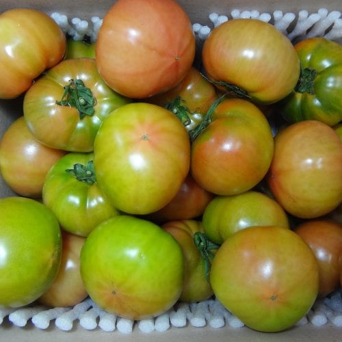 상품이미지3