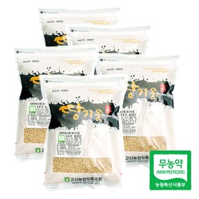 친환경 땅기운 발아현미1kgx5팩(5kg)