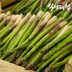 식탐대첩 국내산 생 아스파라거스 1kg 내외 대