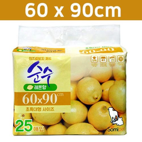 이미지5