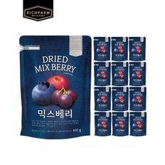 리치팜너트 믹스베리400g 13봉