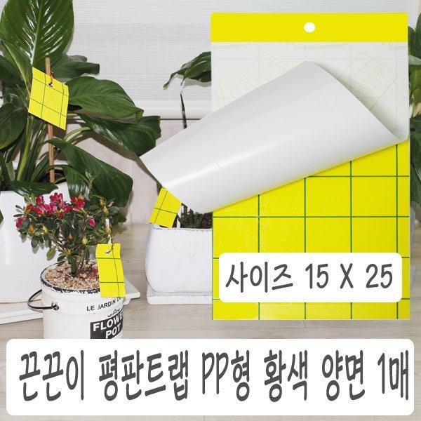 확대된 대표 상품이미지1