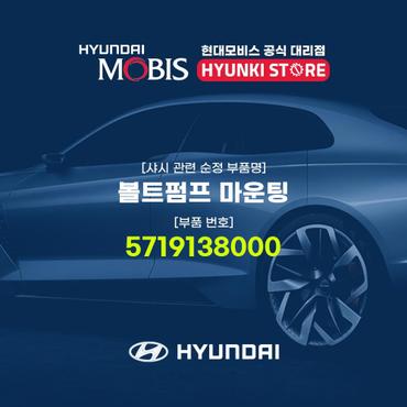 현대모비스 볼트펌프 마운팅 (5719138000)