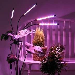 노바 잎파랑 LED 윌로우 식물등 4헤드
