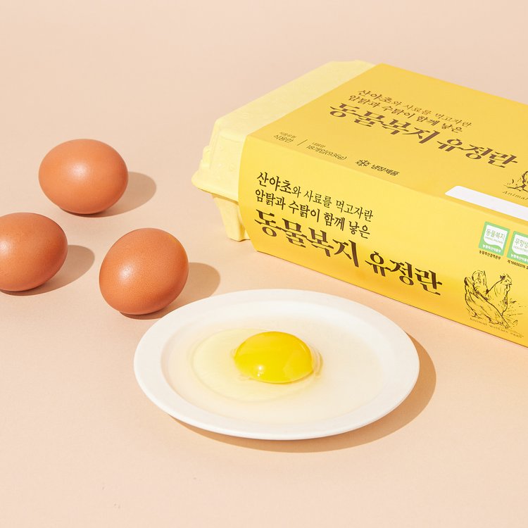 상품 이미지1