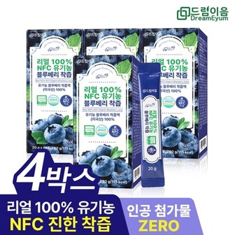 드림이음 리얼 100 NFC 유기농 블루베리 즙 착즙 미국산 원액 스틱 1...