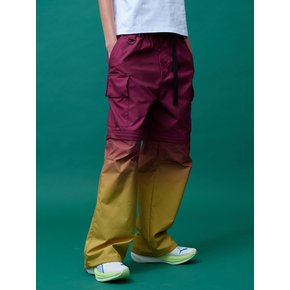 Gradient Convertible Hiking Pants