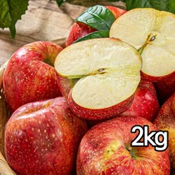 누리웰 햇 홍로사과 중과 2kg(가정용)/GAP&저탄소 인증