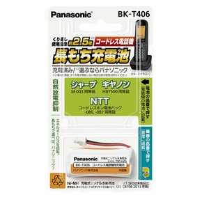 삼성 리플렉서블 Ni-MH (무선 전화기) BK-T406