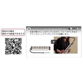 HAMMOND 하몬드 HAMMOND44 PRO-44Hv2 건반 하모니카 엘레아코 모델
