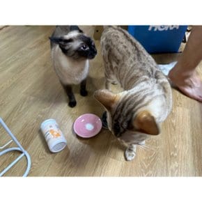 미유케어 엘라이신 고양이 신체 면역 성장 영양제 분말가루 150g 면역력 강화