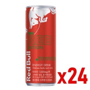 레드불 에너지 드링크 수박맛 레드에디션 250ml 24캔 1박스