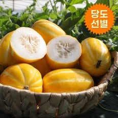 아침의뜰 [김재윤님 생산](당도선별)달콤한 성주꿀참외 5kg(대과/10~15과)