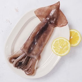 [강영수산]자연산 손질오징어 통오징어 2미(400g) x 1팩 (2마리)