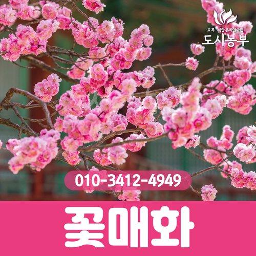 상품이미지1