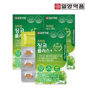 일양약품 프라임 징코 플러스 30정 3박스(3개월분)