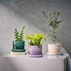 [정가9만원]허브플랜터 14cm(색상선택)