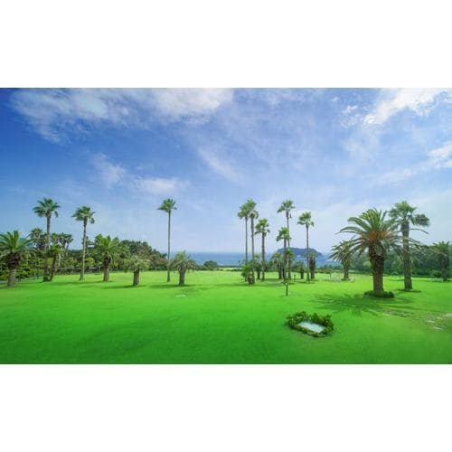https://media.eoding.com/media/travelagent/663/imagecontent/잔디광장.jpg