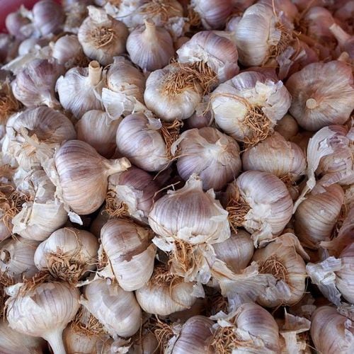 상품이미지5