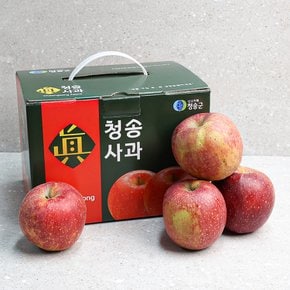 [오늘신선] 청송네자매 경북 청송 감홍 사과 선물세트 2.5kg 대과(7-8과 내외)