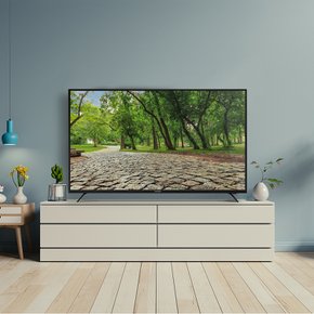 {대기업 A급  패널} 50인치 4K UHD LED TV / 프리즘코리아 PT500UD {2년 무상 AS}