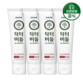 닥터버들 토탈케어 치약 100g x 4개