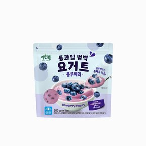 [냉동] 자연원 통과일범벅 블루베리 300g 봉