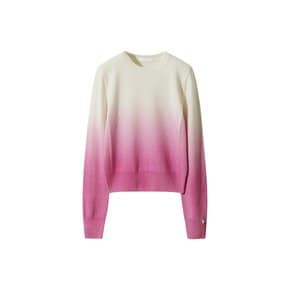 Soft Gradation Sweater_D5WAW24109PIX