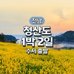 SRT청산도1박2일 기차여행(수서출발)