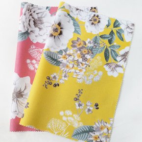 지니아 옥스포드 Cotton100 2칼라 44인치