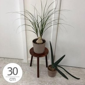 원목 화분 받침대 우드스텐드 30x40cm 스툴 고급