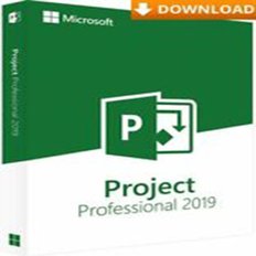 MS PROJECT PROFESSIONAL 2019 LICENSE