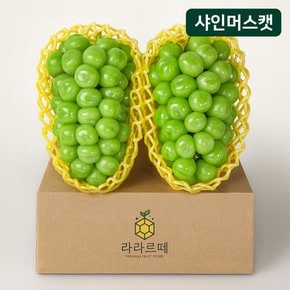 아삭하고 달콤한 샤인머스켓 2입 (개당 650g 이상)