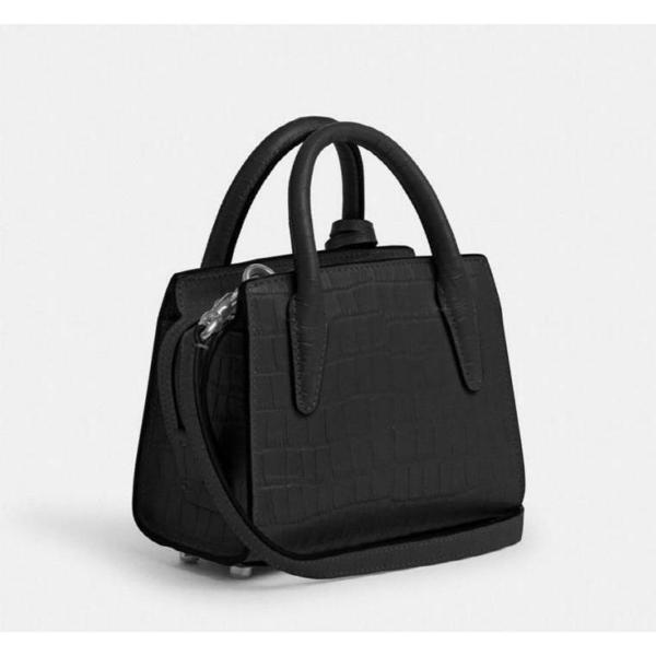 크로커다일 안드레아 미니 샤첼 백 CR209