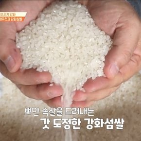 고인돌 강화섬쌀 (23년)강화교동골든미 10kg