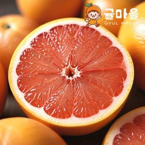 프리미엄 레드자몽 대과 5과 개당 350g내외