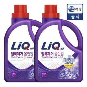 리큐 얼룩제거 올인원 세탁세제 본품 2.7Lx2개 일반