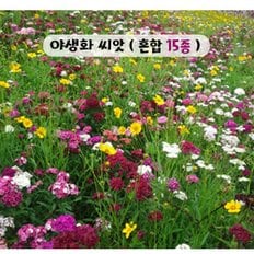 아시아종묘 씨앗 꽃 야생화 100g 혼합 15종 모음