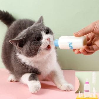  애완동물 젖병 세트 강아지 고양이 반려동물 60ml