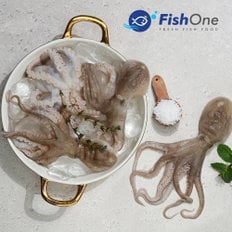 국내산 손질 세척 주꾸미(냉동) 300g(4-7미)