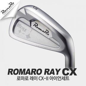 Ray CX-II 남성 스틸 7아이언세트 NSDG IA3510067