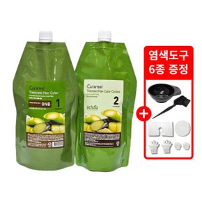 카라멜 염색 400g 매우밝은갈색(8NB) 새치 염색약 + 염색도구6종 증정