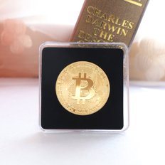 스투피드 3. 디지털 비트코인 (골드)