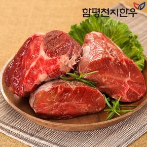 [함평축협] 함평천지한우 사태 300g(1등급 이상)