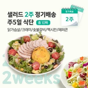 포켓샐러드 샐러드 2주 정기배송 주5일 (닭가슴살1+크래미1+숯불1+멕시칸1+페퍼콘1)