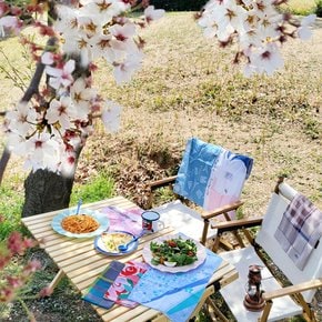 피크닉 벚꽃 체크 프랑스 에코면 손수건