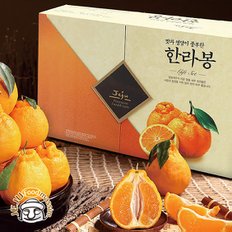 [1/15(수)순차출고] 조은돌담 제주 한라봉 선물세트 (2.5kg, 10-12과)